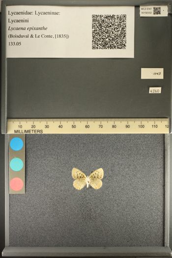 Media type: image;   Entomology 192552
